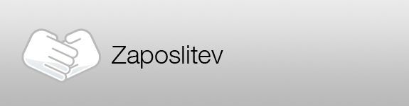 Zaposlitev v podjetju T-2