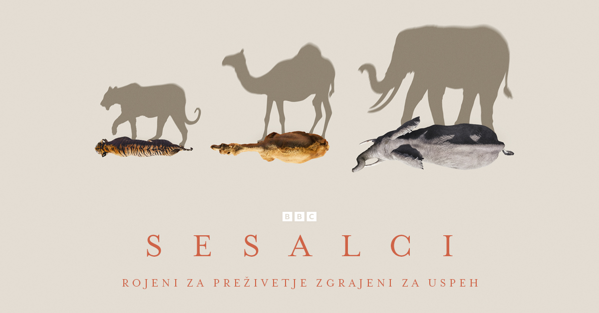 Nova serija Sesalci na BBC Earth