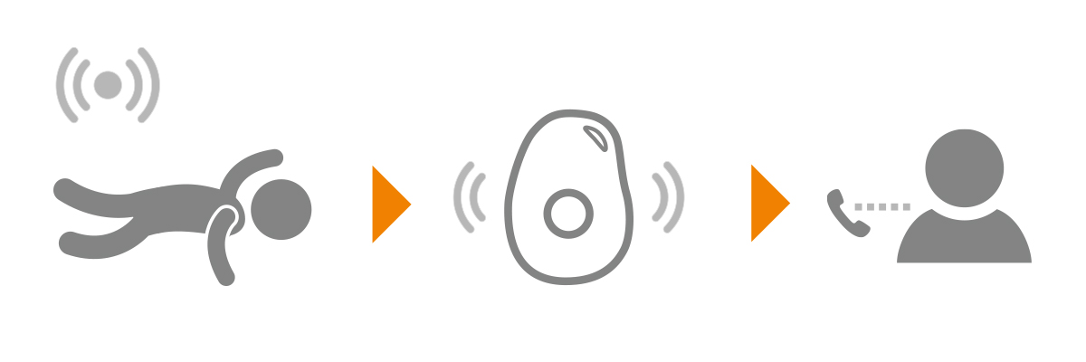 Zapestnica storitve Varuh